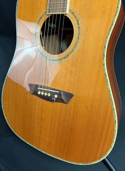 Washburn WDFLB26SCE Forrest Lee Bender Dreadnought Cutaway Acoustic-Electric Guitar w/ Case