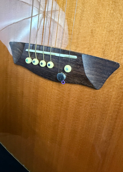 Washburn WDFLB26SCE Forrest Lee Bender Dreadnought Cutaway Acoustic-Electric Guitar w/ Case