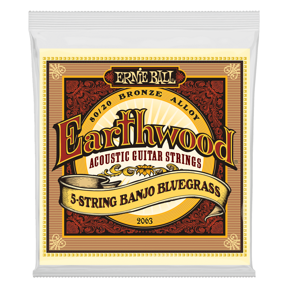 Ernie Ball 2063 Earthwood 5-String Bluegrass Banjo Strings Loop End 9-20