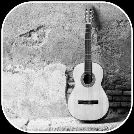 Acoustic Guitars