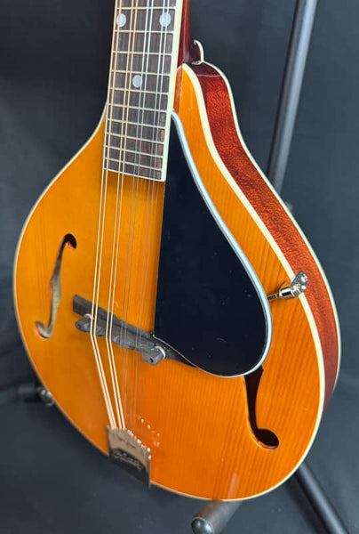 Kentucky KM-152 Standard A-Style Mandolin Amber Top Finish w/ Gig Bag