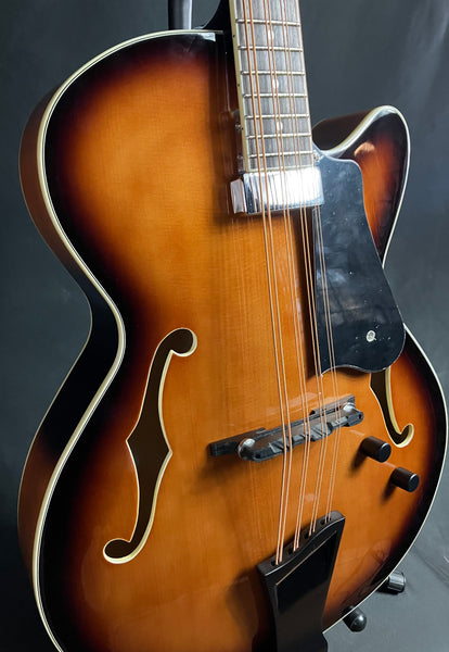 Gold Tone Mandocello 8-String Acoustic-Electric Vintage Sunburst w/ Hardshell Case