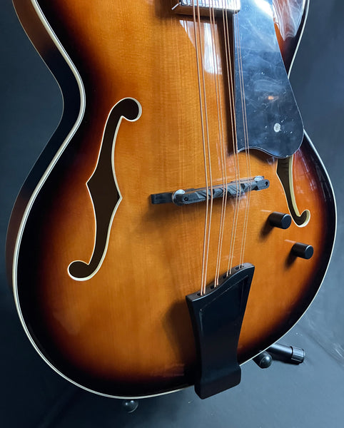 Gold Tone Mandocello 8-String Acoustic-Electric Vintage Sunburst w/ Hardshell Case