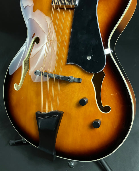 Gold Tone Mandocello 8-String Acoustic-Electric Vintage Sunburst w/ Hardshell Case