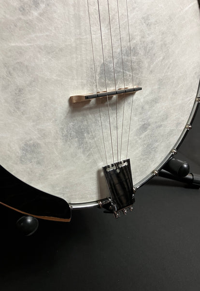 Fender PB-180E Paramount Open Back 5-String Banjo w/ Fishman Pickup (433)