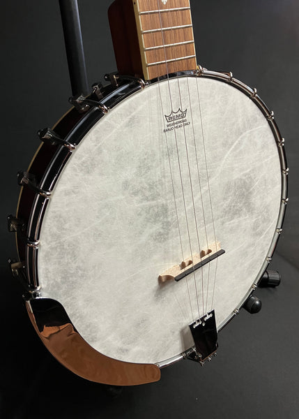 Fender PB-180E Paramount Open Back 5-String Banjo w/ Fishman Pickup (849)