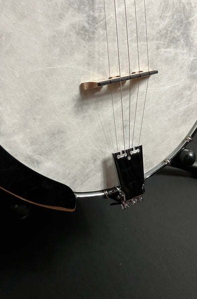 Fender PB-180E Paramount Open Back 5-String Banjo w/ Fishman Pickup (849)