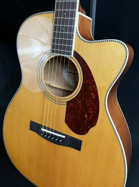 Fender PM-3CE Standard Acoustic-Electric Guitar Gloss Natural w/ OHSC