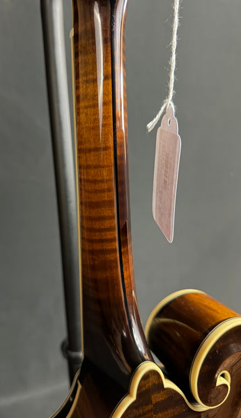Gold Tone Grandmaster Elite F-Style Mandolin Vintage Leather Finish w/ Hardshell Case