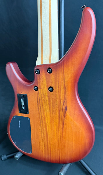 Yamaha TRBX505BRB 5-String Electric Bass Guitar Brick Red Burst (132)