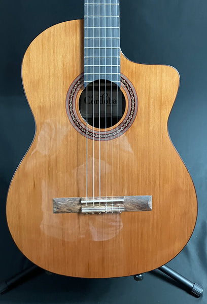 Cordoba C5 CE Classical Cutaway Acoustic-Electric Guitar Gloss Natural Finish