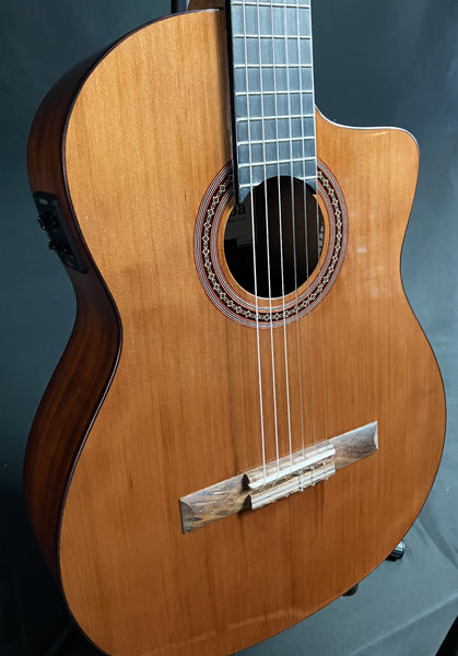 Cordoba C5 CE Classical Cutaway Acoustic-Electric Guitar Gloss Natural Finish