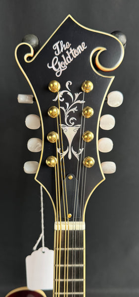 Gold Tone GM-80 Oval-Hole F-Style Mandolin Cherry Burst Satin w/ Pickup