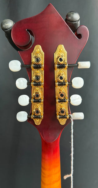 Gold Tone GM-80 Oval-Hole F-Style Mandolin Cherry Burst Satin w/ Pickup