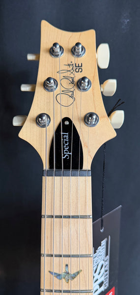 PRS SE Swamp Ash Special Electric Guitar Iri Blue Finish w/ Gig Bag
