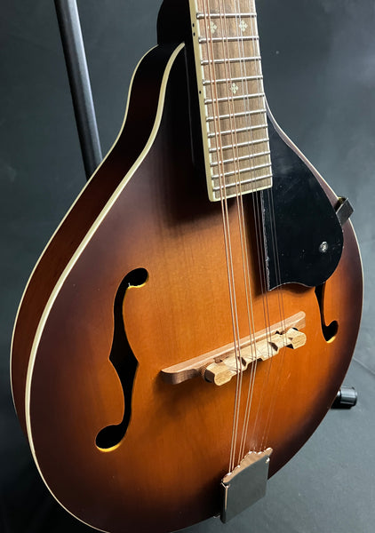 Fender PM-180E Paramount Bluegrass A-Style Mandolin Aged Cognac Burst w/ Fishman (427)