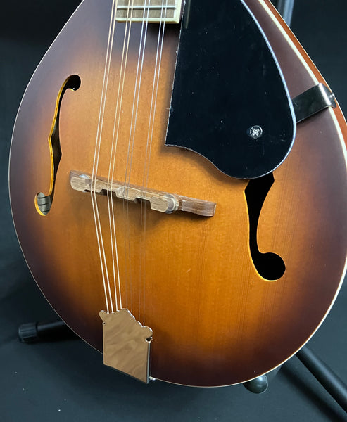 Fender PM-180E Paramount Bluegrass A-Style Mandolin Aged Cognac Burst w/ Fishman (427)