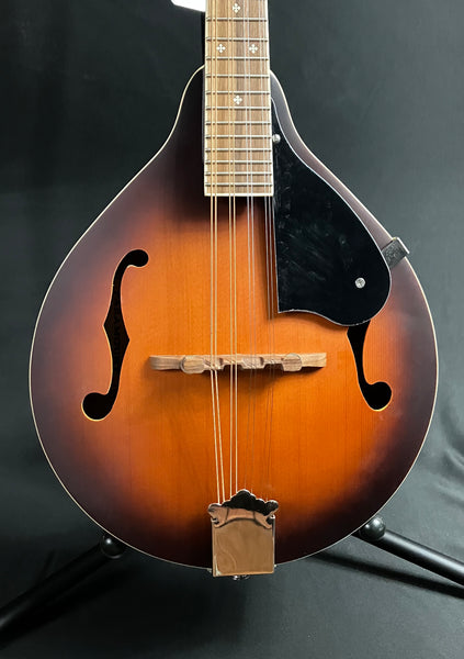 Fender PM-180E Paramount Bluegrass A-Style Mandolin Aged Cognac Burst w/ Fishman (025)