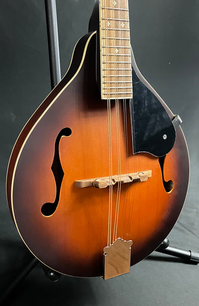 Fender PM-180E Paramount Bluegrass A-Style Mandolin Aged Cognac Burst w/ Fishman (025)