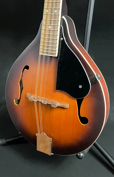 Fender PM-180E Paramount Bluegrass A-Style Mandolin Aged Cognac Burst w/ Fishman (025)