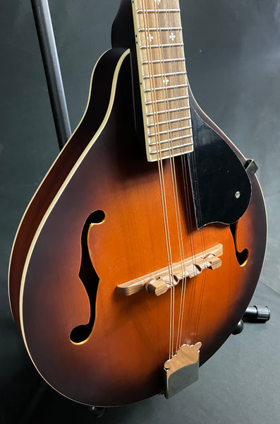 Fender PM-180E Paramount Bluegrass A-Style Mandolin Aged Cognac Burst w/ Fishman (025)