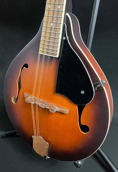 Fender PM-180E Paramount Bluegrass A-Style Mandolin Aged Cognac Burst w/ Fishman (025)