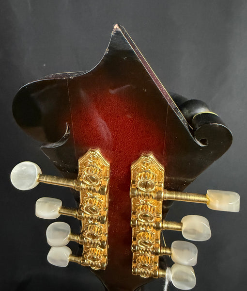 1998 Dearstone F-5M Fern F-Style Mandolin Flamed Maple Vintage Sunburst w/ Case