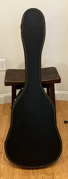 AMI DM-15 Mahogany Dreadnought Acoustic Guitar Satin Natural w/ LR Baggs Lyric