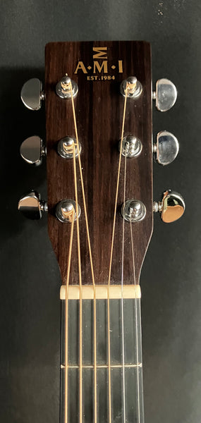 AMI DM-15 Mahogany Dreadnought Acoustic Guitar Satin Natural w/ LR Baggs Lyric