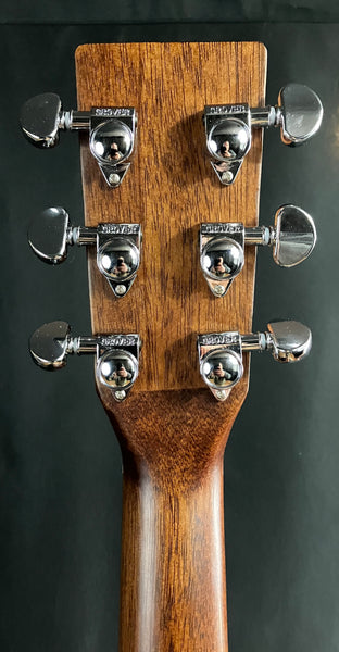 AMI DM-15 Mahogany Dreadnought Acoustic Guitar Satin Natural w/ LR Baggs Lyric