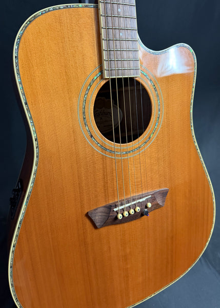Washburn WDFLB26SCE Forrest Lee Bender Dreadnought Cutaway Acoustic-Electric Guitar w/ Case