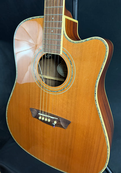 Washburn WDFLB26SCE Forrest Lee Bender Dreadnought Cutaway Acoustic-Electric Guitar w/ Case