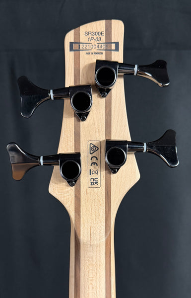 Ibanez Standard SR300E 4-String Bass Guitar Golden Veil Matte w/ Gig Bag