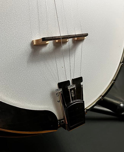 Recording King RK-R35-BR "Madison" Resonator Banjo with Bell Brass Tone Ring