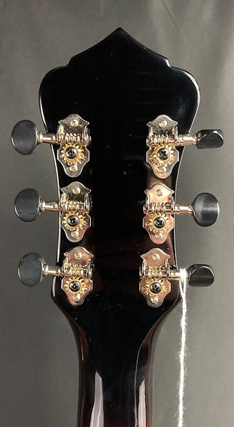 Recording King RR-41E-VS Rattlesnake Round Neck Resonator Vintage Sunburst w/ Fishman Nashville