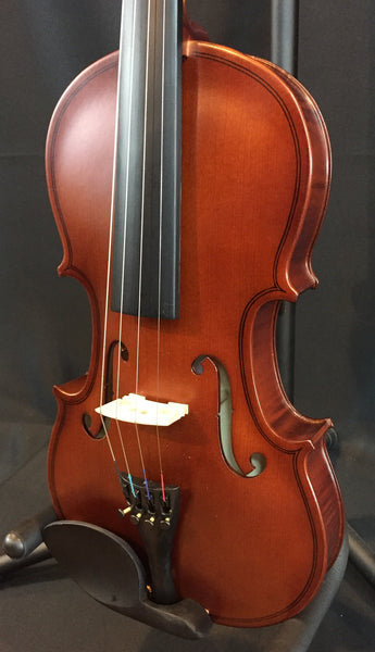 Palatino VN-200 Genoa 4/4 Violin Outfit w/ Case, Bow, and Rosin