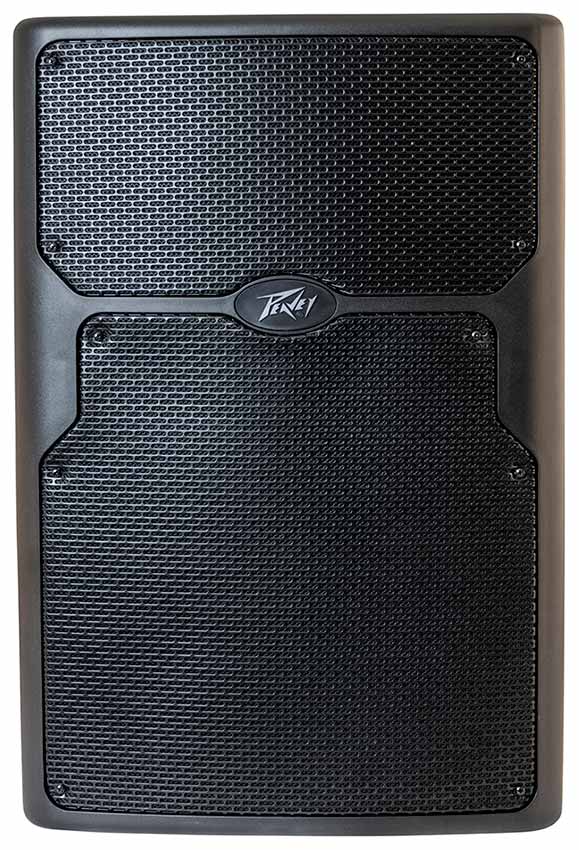 Peavey es best sale 15